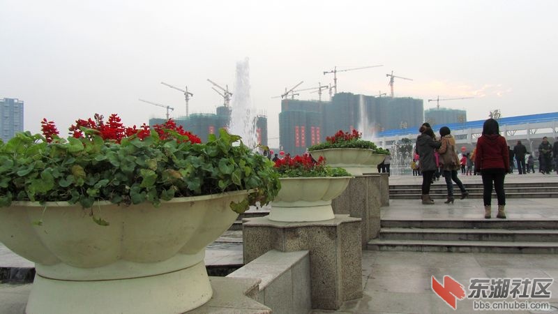 诸葛亮7.jpg