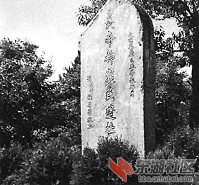 Img244762715.jpg