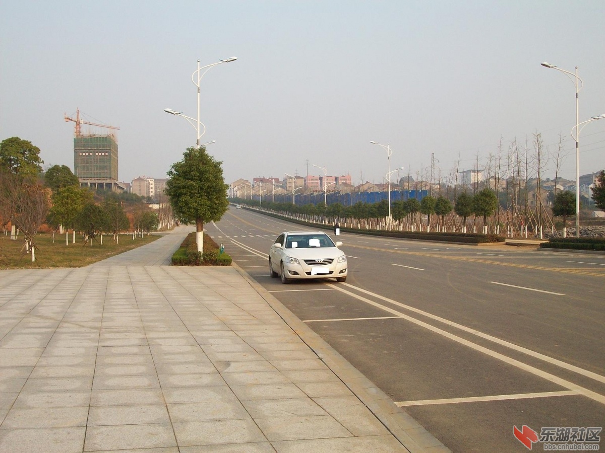 园10.JPG