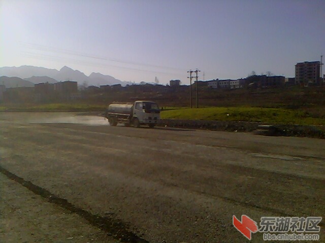 IMG4498A.jpg