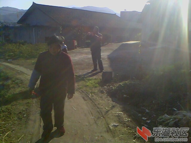 IMG4504A.jpg