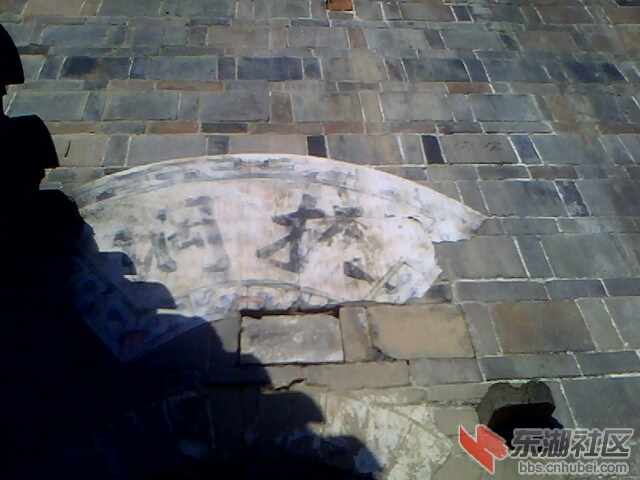 IMG4516A.jpg