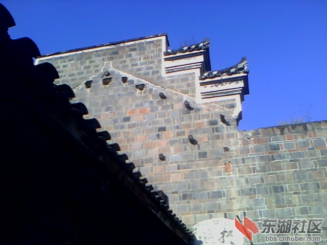 IMG4519A.jpg