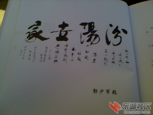 IMG4525A.jpg