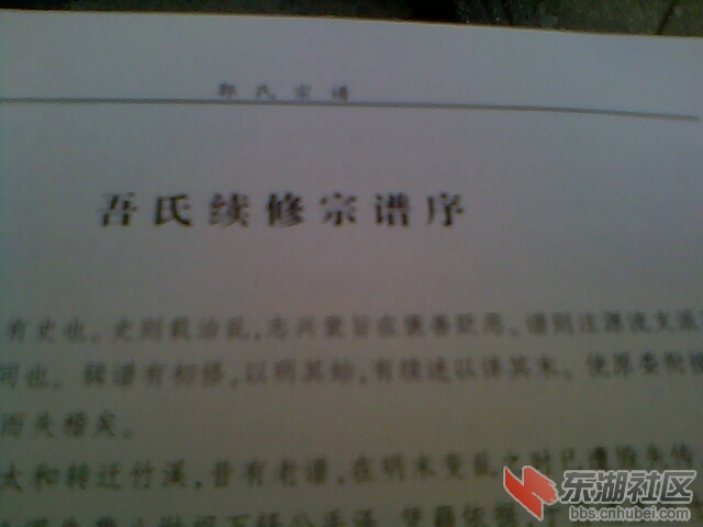 IMG4535A.jpg