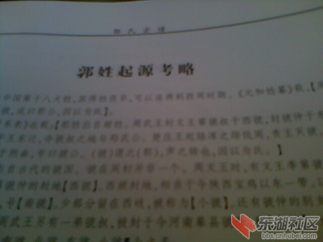 IMG4537A.jpg