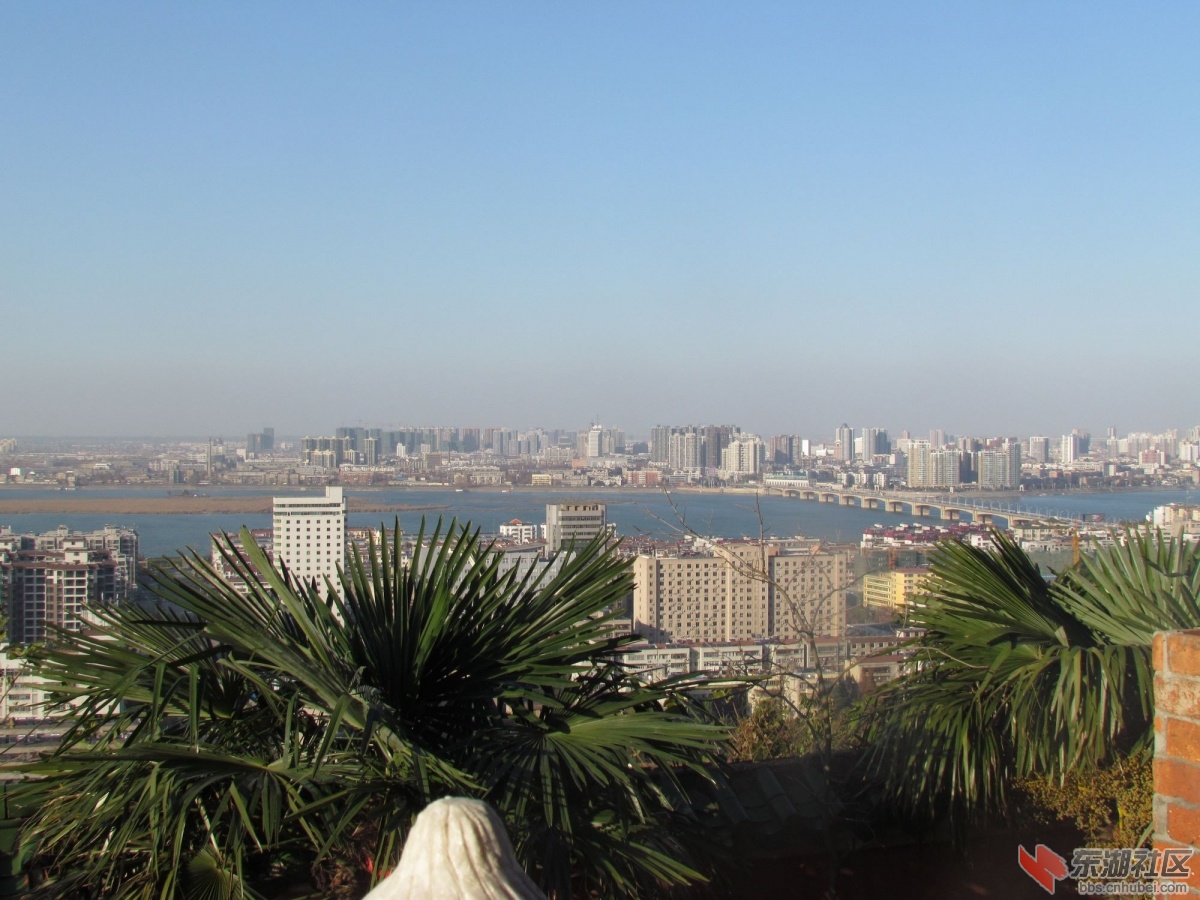 IMG_1264_nEO_IMG.jpg
