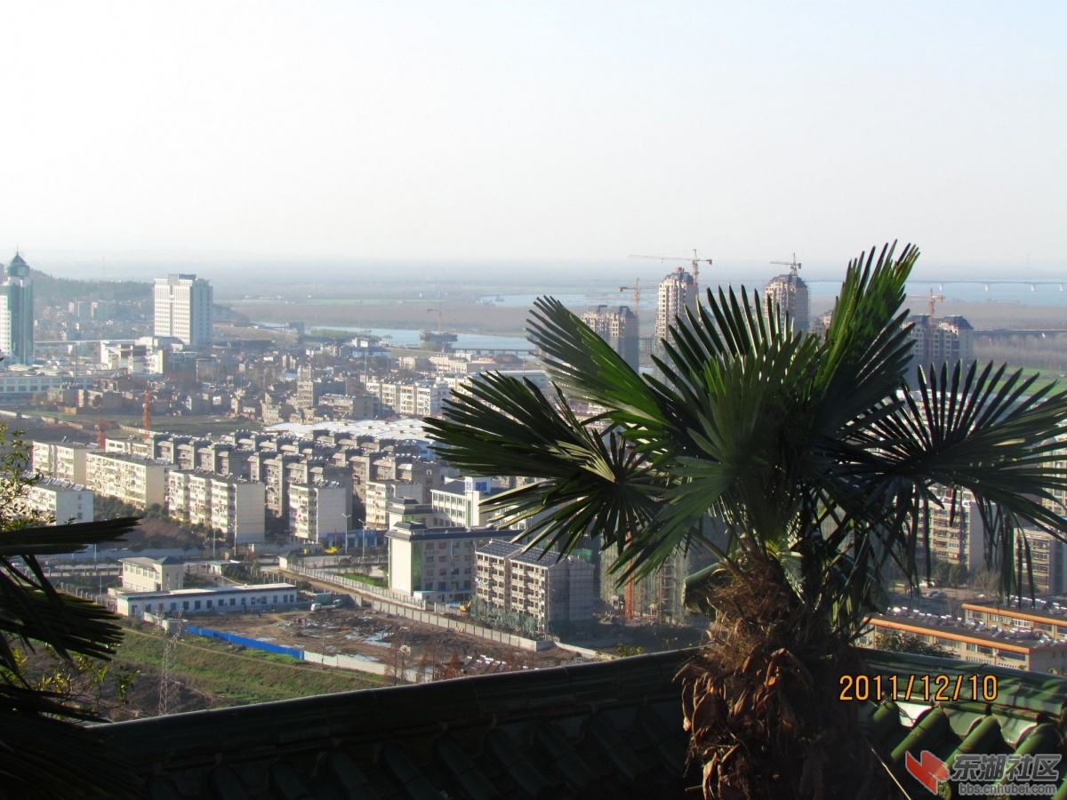 IMG_1257_nEO_IMG.jpg