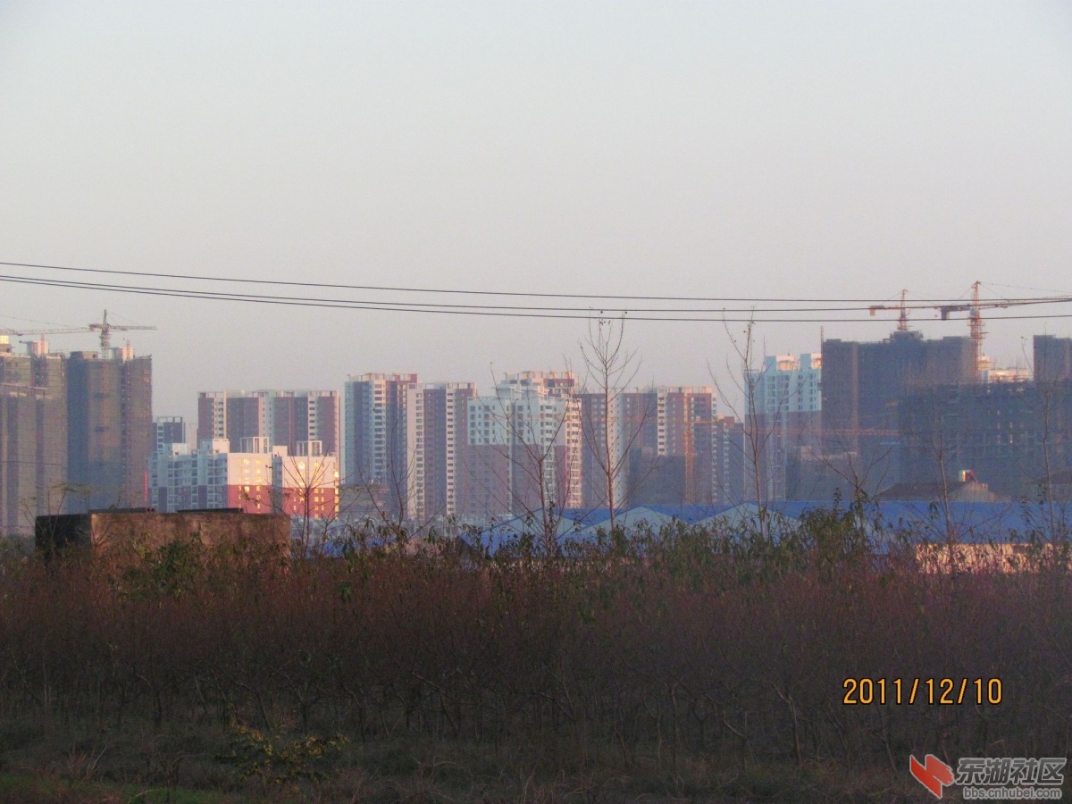 IMG_1373_nEO_IMG.jpg