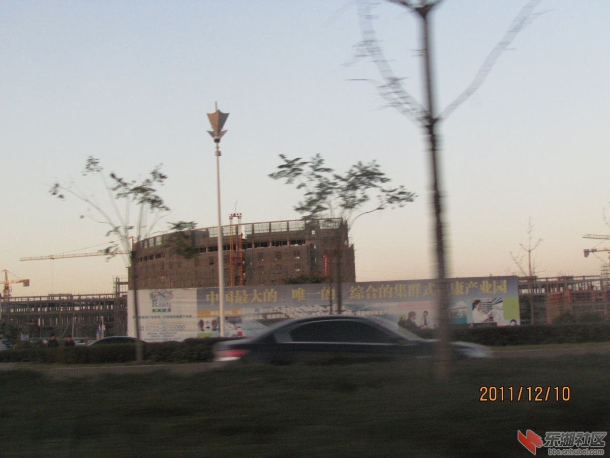 IMG_1375_nEO_IMG.jpg