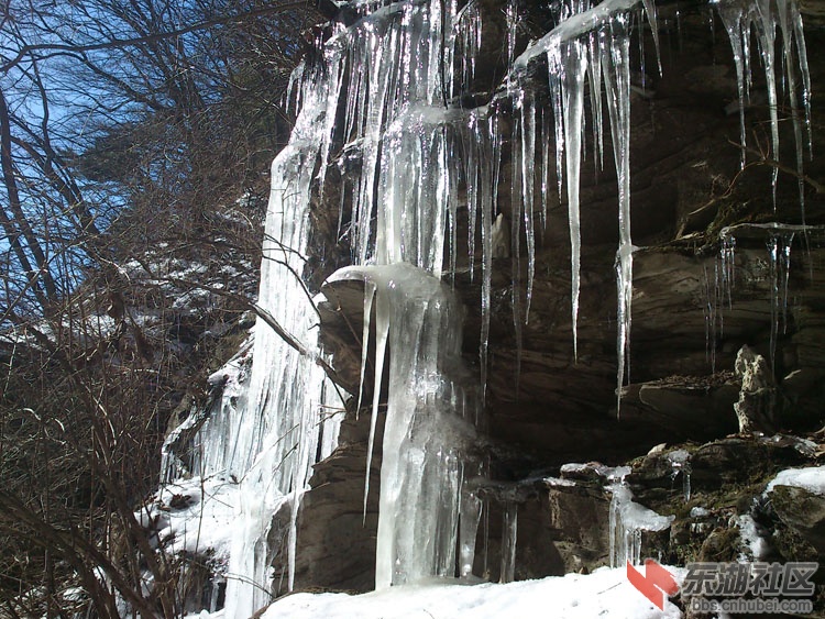 DSC_0222.jpg
