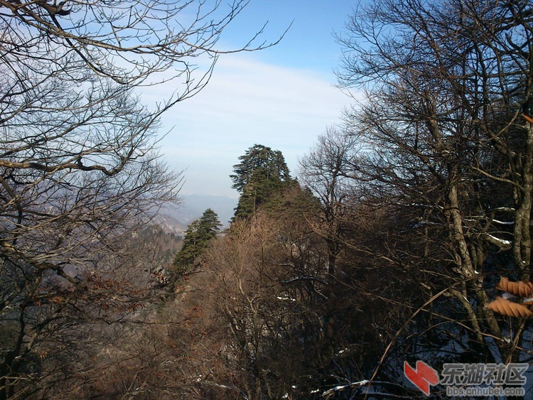 DSC_0252.jpg