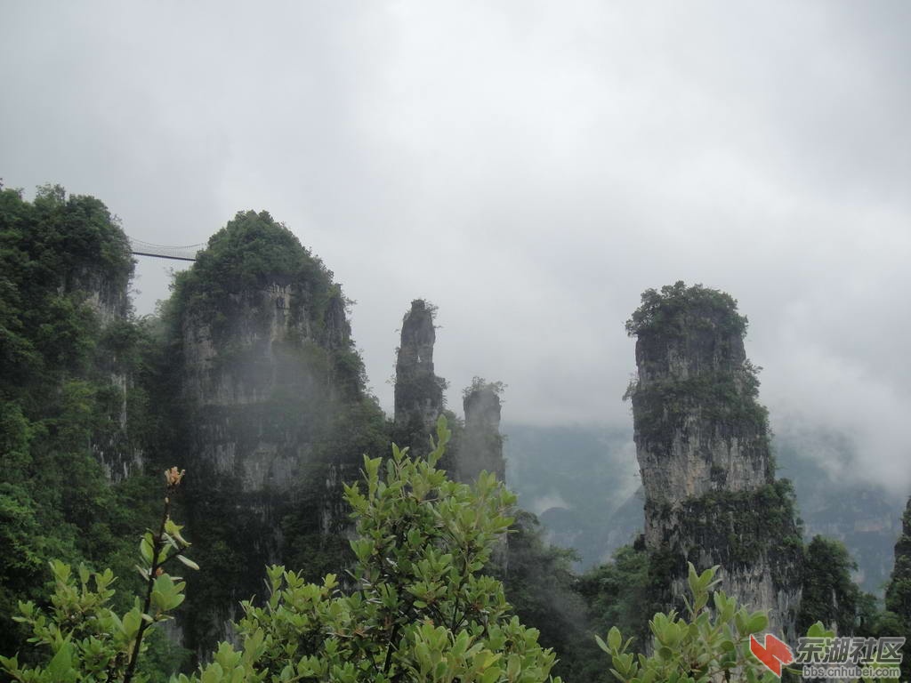 DSC01011.JPG
