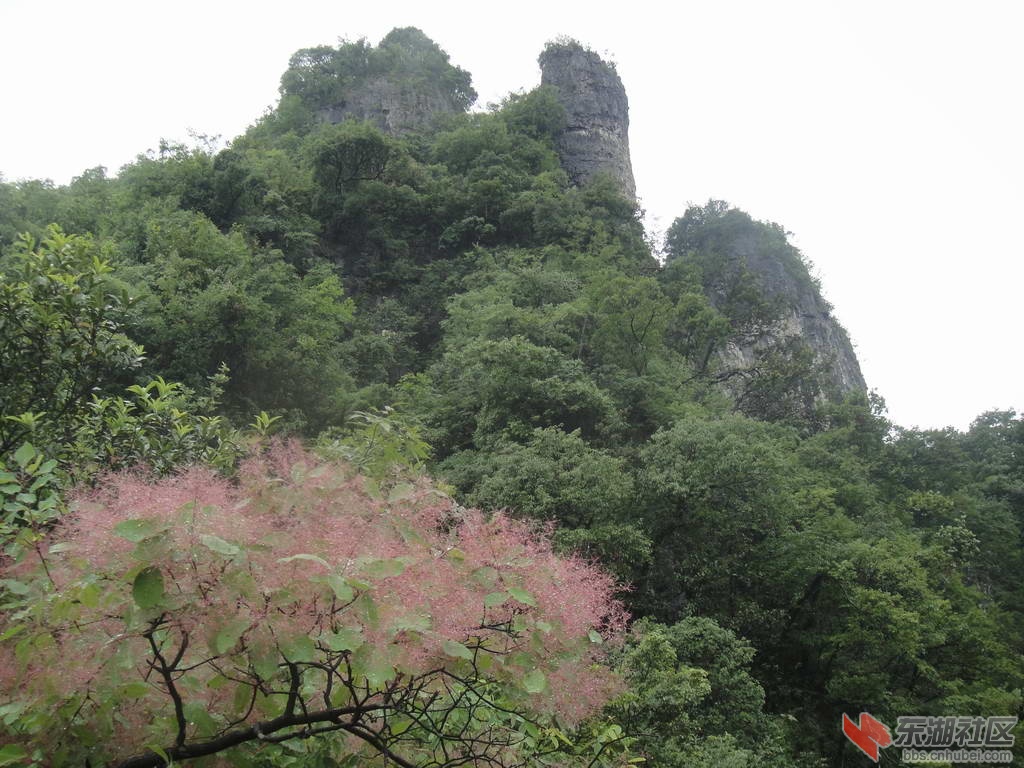 DSC01013.JPG