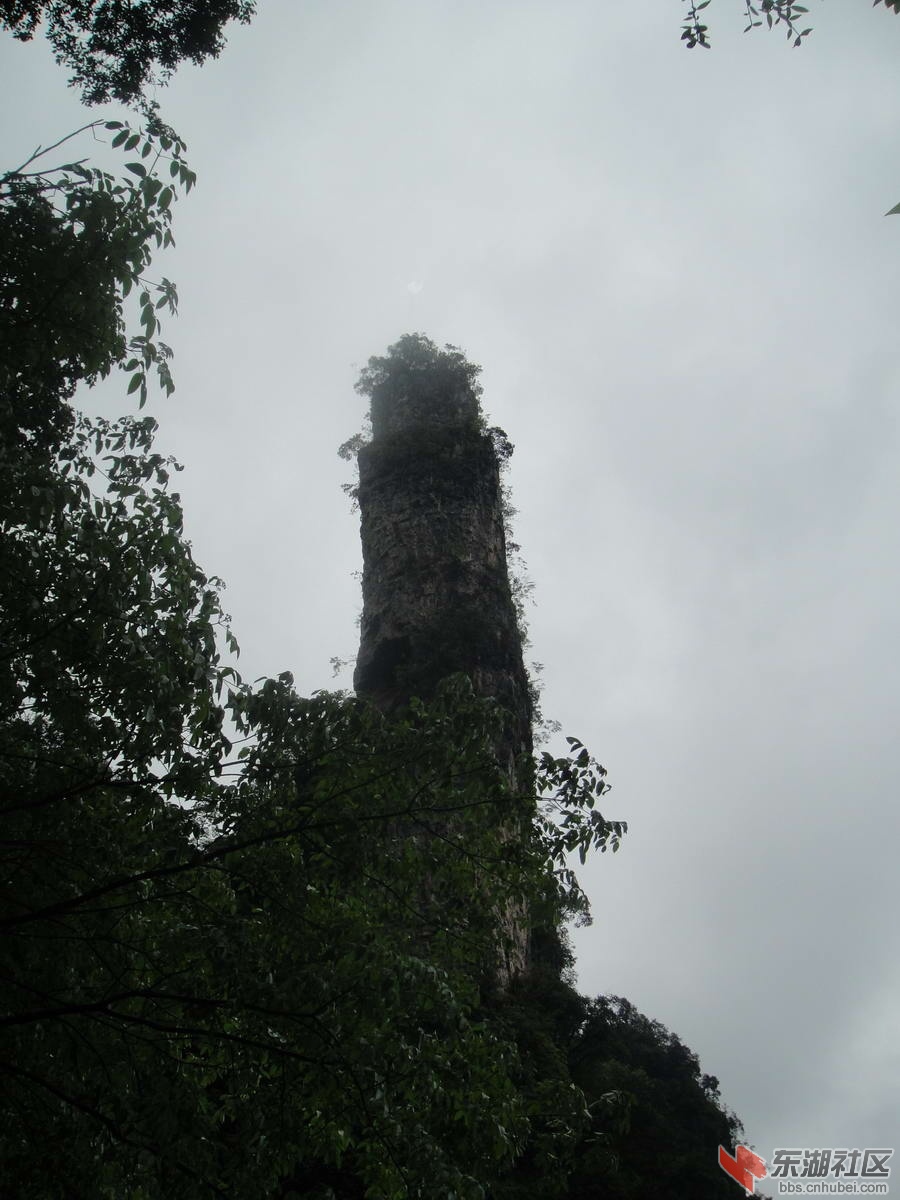 DSC01069.JPG