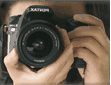 65521.gif