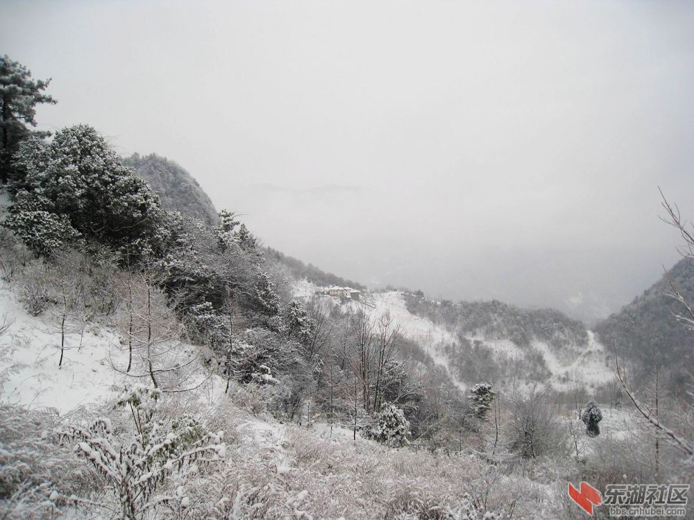 照片 257.jpg