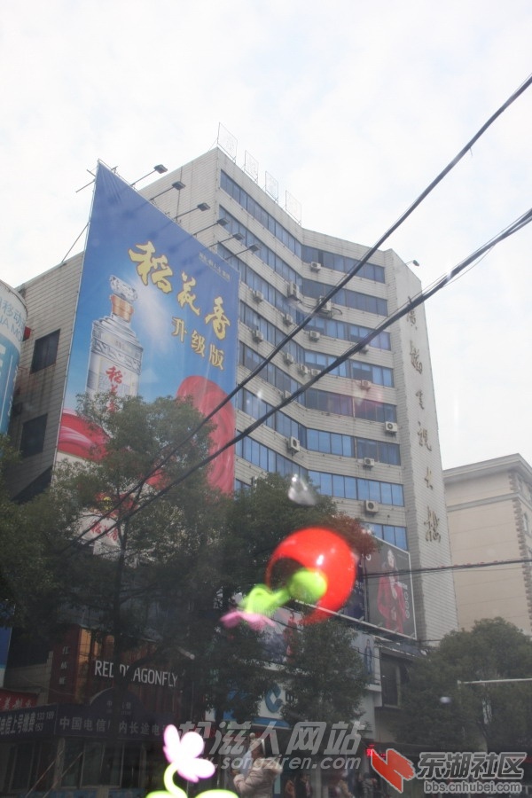 栋19.jpg