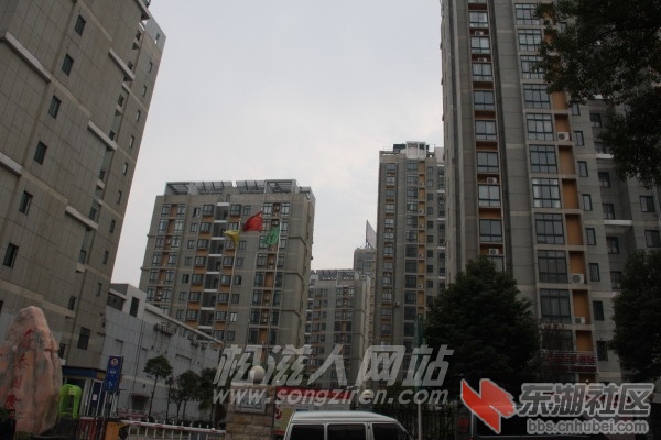 栋23.jpg