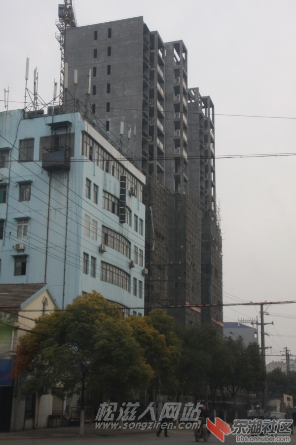 栋39.jpg