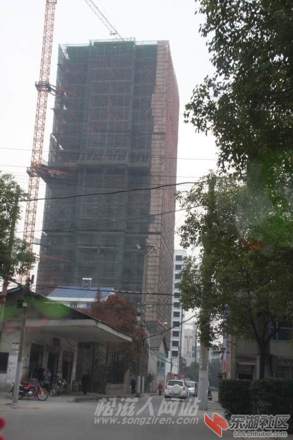 栋65.jpg