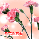 200742394240317.gif