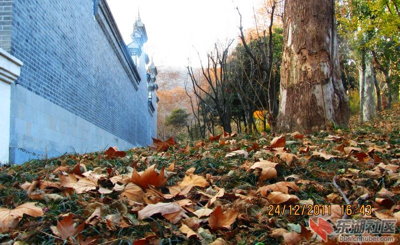 习家池12.jpg