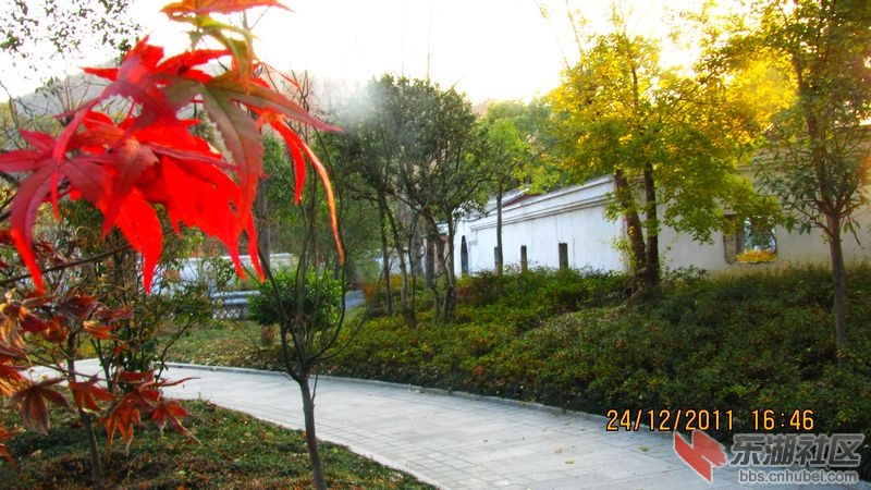 习家池17.jpg
