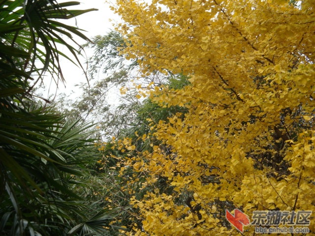 照片 074.jpg