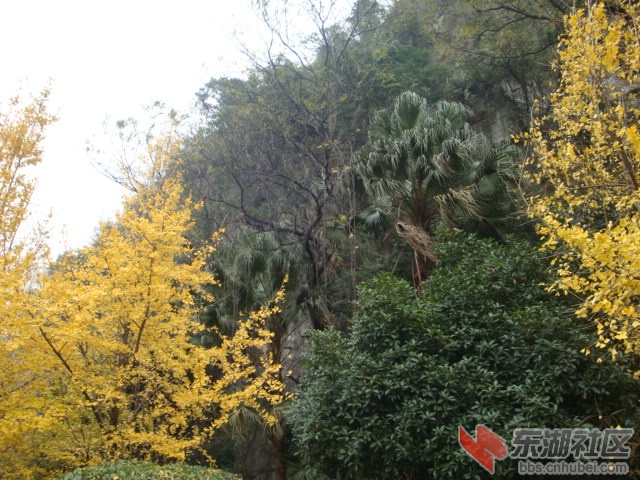 照片 075.jpg
