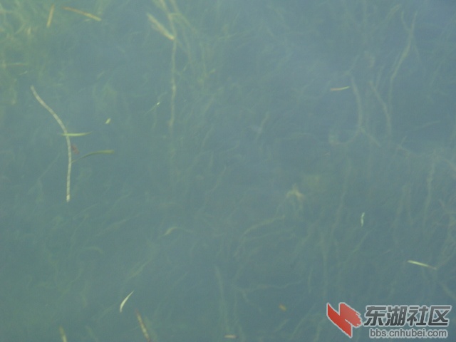 照片 089.jpg