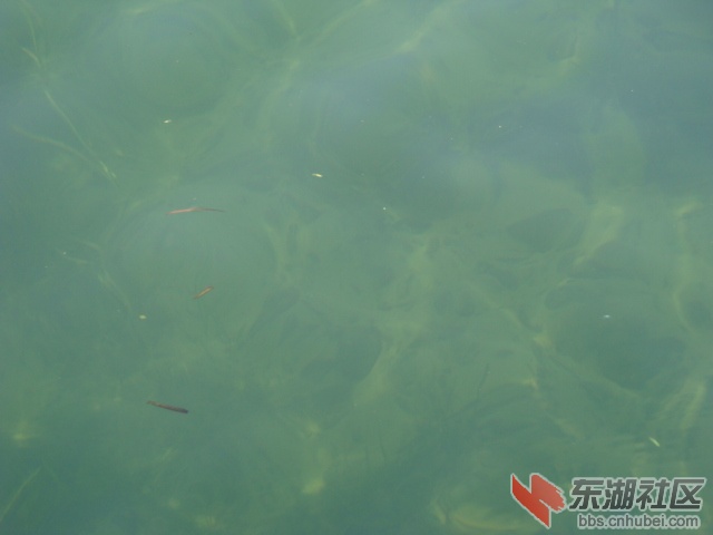照片 090.jpg