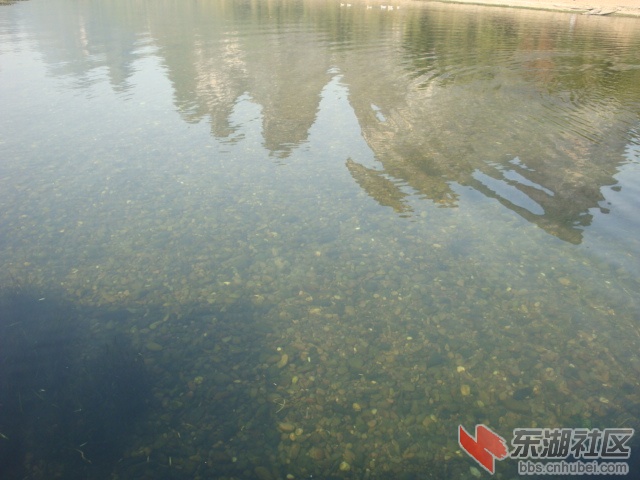 照片 094.jpg