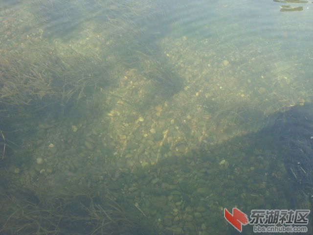 照片 093.jpg