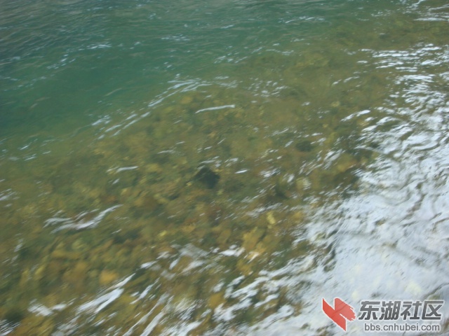 照片 097.jpg