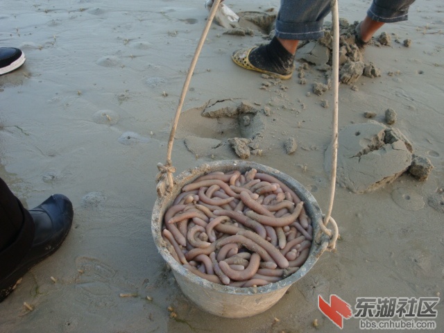 照片 142.jpg