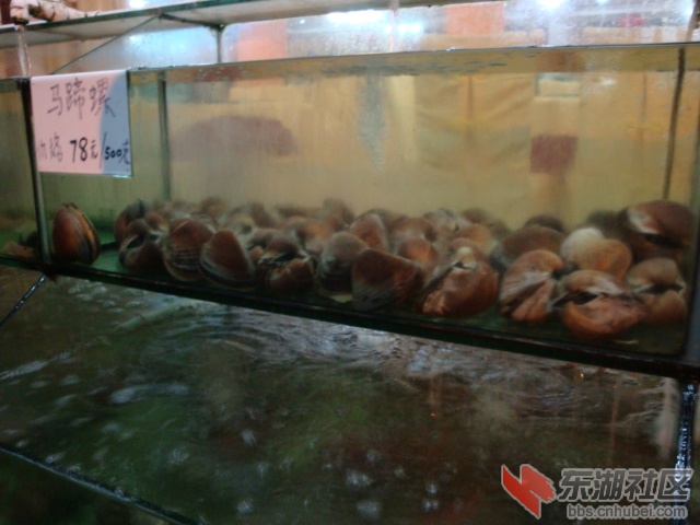 照片 153.jpg