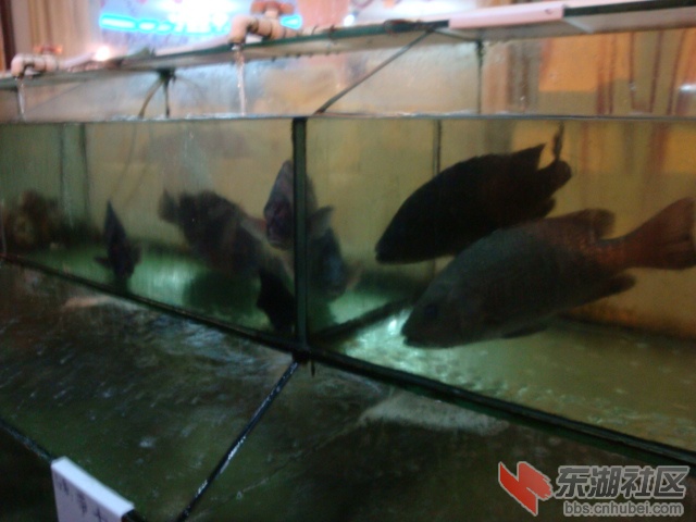 照片 155.jpg