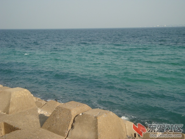 照片 170.jpg