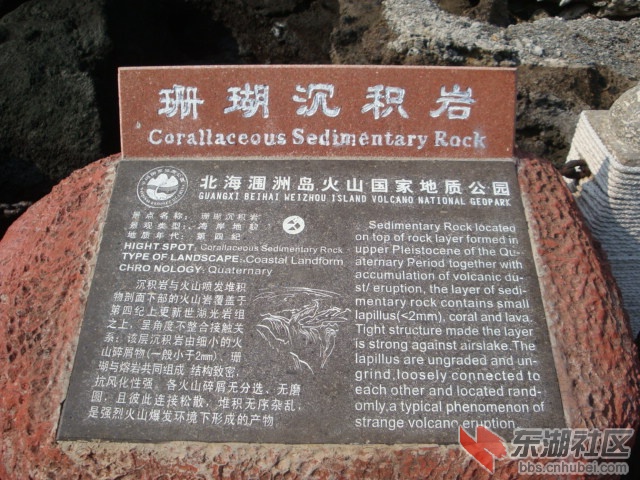 照片 196.jpg