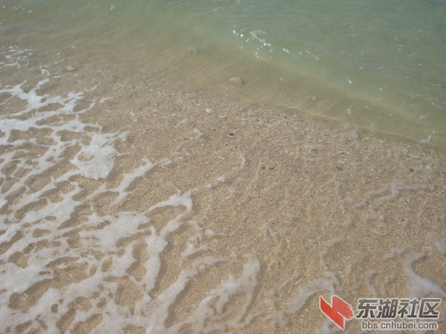 照片 202.jpg