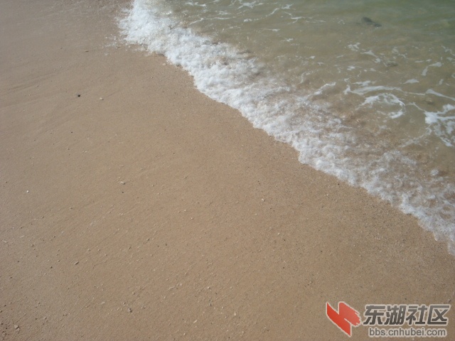 照片 201.jpg