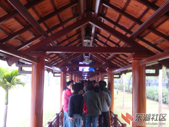 照片 254.jpg