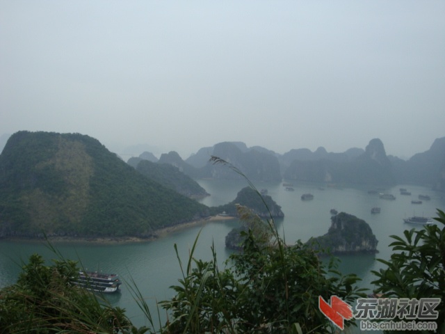 照片 337.jpg