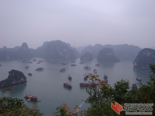 照片 338.jpg