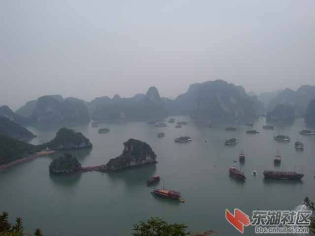 照片 339.jpg