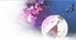 花好月圆.png