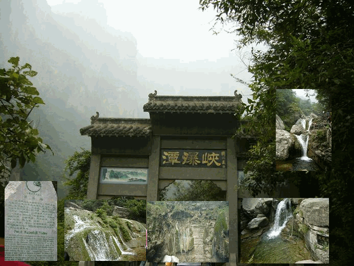 1.gif