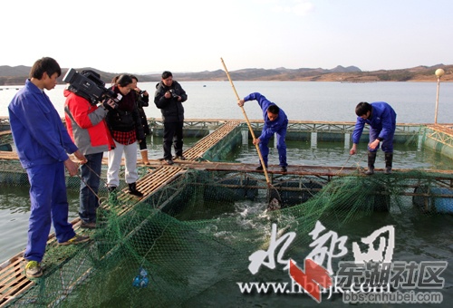 每日农经采图片 058[1].JPG
