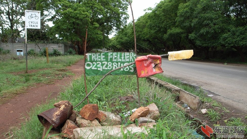 _57205149_14_zimbabwe_fellers_musa.jpg